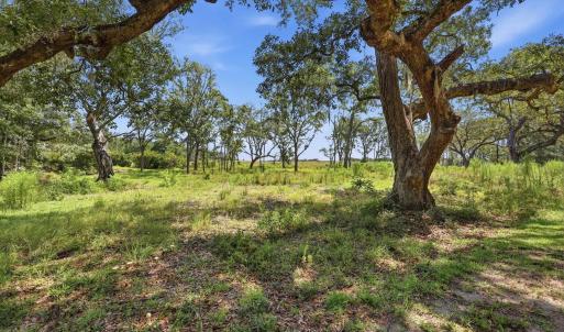 Photo #13 of 279 Midden Ln., Pawleys Island, SC 1.9 acres