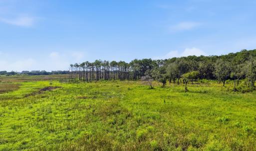 Photo #23 of 279 Midden Ln., Pawleys Island, SC 1.9 acres