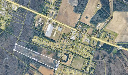 Photo #3 of 1292 Bloomville Rd., Manning, SC 12.7 acres