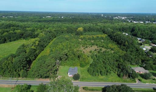 Photo #5 of 1292 Bloomville Rd., Manning, SC 12.7 acres