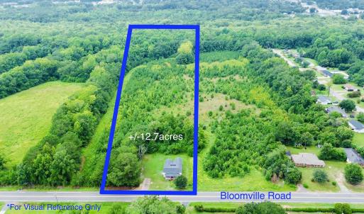 Photo #1 of 1292 Bloomville Rd., Manning, SC 12.7 acres