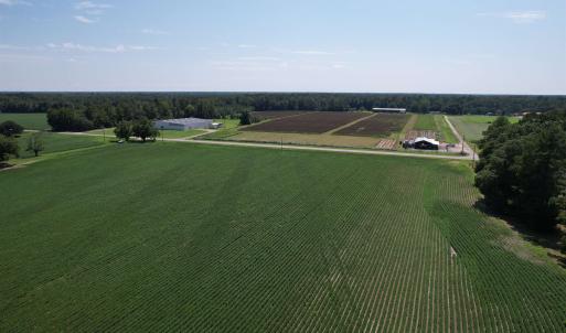 Photo #4 of Lot 3 - Sumter Hwy., Kingstree, SC 4.1 acres