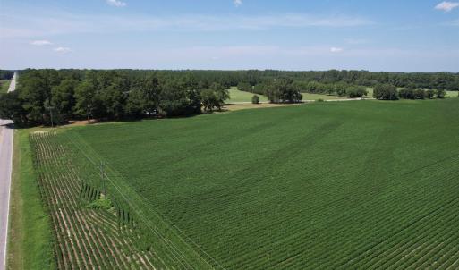 Photo #7 of Lot 3 - Sumter Hwy., Kingstree, SC 4.1 acres