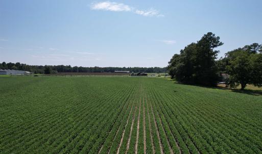 Photo #2 of Lot 3 - Sumter Hwy., Kingstree, SC 4.1 acres