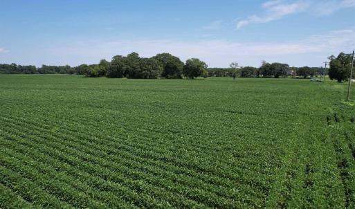 Photo #5 of Lot 3 - Sumter Hwy., Kingstree, SC 4.1 acres