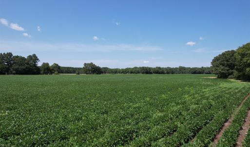 Photo #8 of Lot 3 - Sumter Hwy., Kingstree, SC 4.1 acres