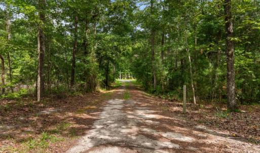 Photo #2 of 150 Landmark Rd., Conway, SC 8.6 acres