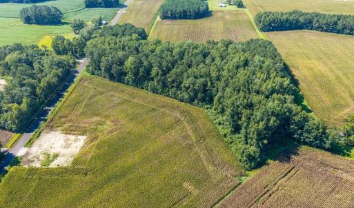 Photo #4 of TBD  Lot 2 Birchfield Dr., Loris, SC 5.0 acres