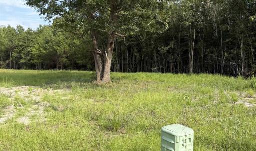 Photo #9 of TBD Hayfield Rd., Georgetown, SC 1.0 acres