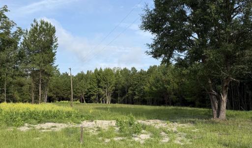 Photo #1 of TBD Hayfield Rd., Georgetown, SC 1.0 acres