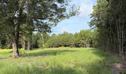 Photo #8 of TBD Hayfield Rd., Georgetown, SC 1.0 acres