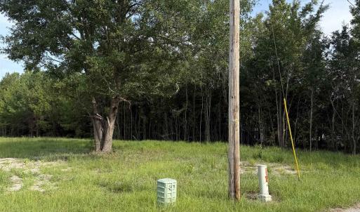 Photo #6 of TBD Hayfield Rd., Georgetown, SC 1.0 acres