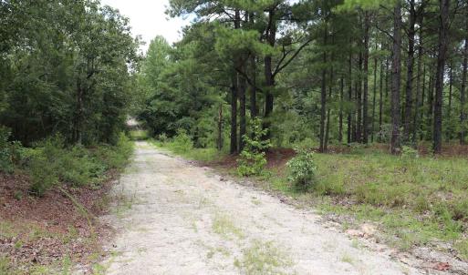 Photo #11 of Young Circle, Kershaw, SC 70.0 acres
