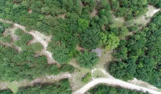 Photo #2 of Young Circle, Kershaw, SC 70.0 acres