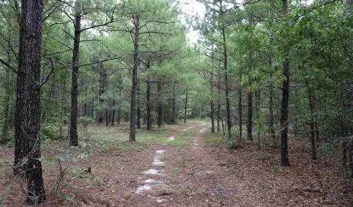 Photo #4 of Young Circle, Kershaw, SC 70.0 acres
