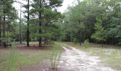 Photo #5 of Young Circle, Kershaw, SC 70.0 acres