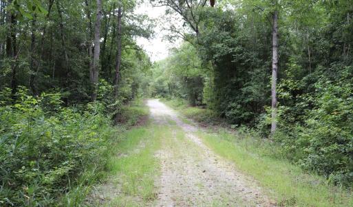Photo #16 of Young Circle, Kershaw, SC 70.0 acres