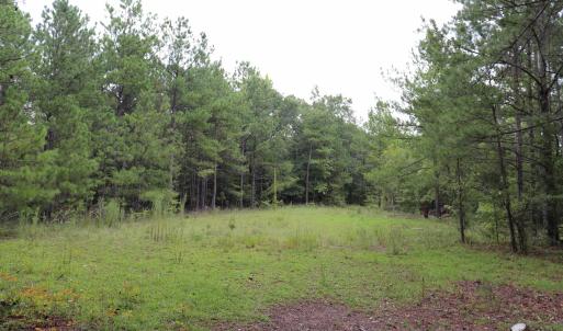 Photo #13 of Young Circle, Kershaw, SC 70.0 acres