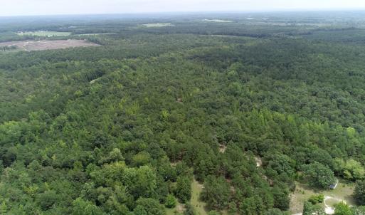 Photo #3 of Young Circle, Kershaw, SC 70.0 acres