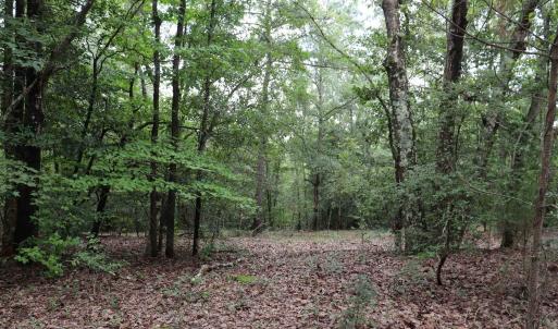 Photo #6 of Young Circle, Kershaw, SC 70.0 acres