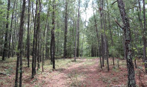 Photo #8 of Young Circle, Kershaw, SC 70.0 acres