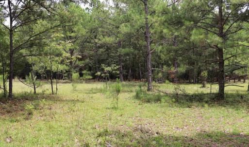 Photo #9 of Young Circle, Kershaw, SC 70.0 acres