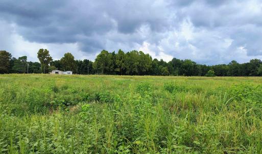 Photo #7 of TBD Old Georgetown Rd., Scranton, SC 7.4 acres