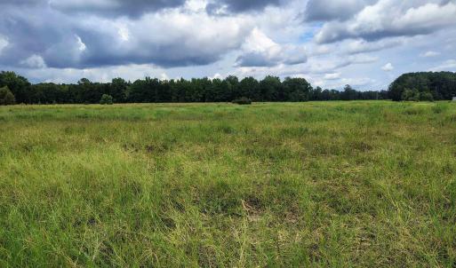 Photo #6 of TBD Old Georgetown Rd., Scranton, SC 7.4 acres