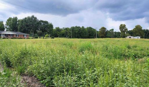 Photo #11 of TBD Old Georgetown Rd., Scranton, SC 7.4 acres