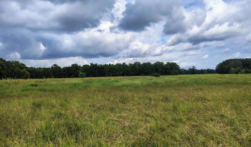 Photo #9 of TBD Old Georgetown Rd., Scranton, SC 7.4 acres