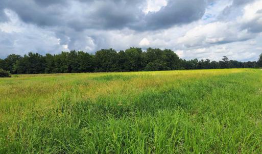 Photo #8 of TBD Old Georgetown Rd., Scranton, SC 7.4 acres
