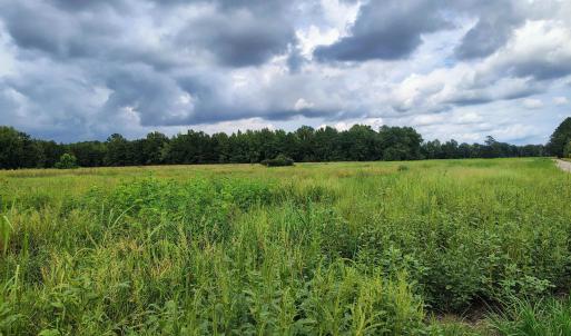 Photo #10 of TBD Old Georgetown Rd., Scranton, SC 7.4 acres
