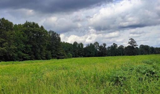Photo #13 of TBD Old Georgetown Rd., Scranton, SC 7.4 acres
