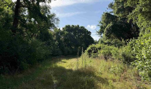 Photo #6 of  81.7 acres
