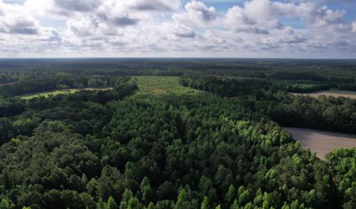 Photo #10 of  81.7 acres