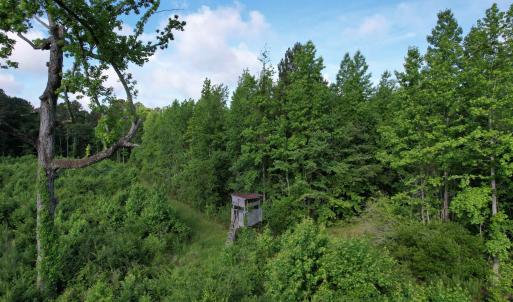 Photo #2 of  81.7 acres