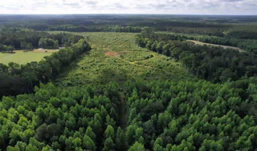 Photo #9 of  81.7 acres