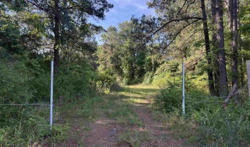 Photo #4 of  81.7 acres