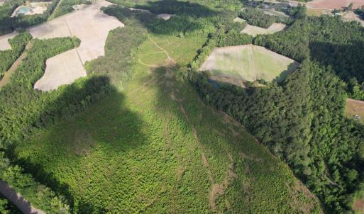 Photo #19 of  81.7 acres