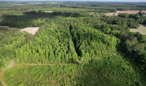 Photo #16 of  81.7 acres