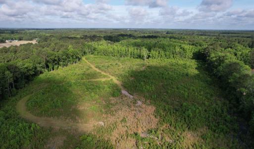 Photo #15 of  81.7 acres