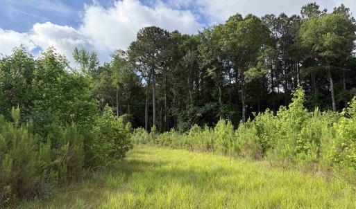 Photo #24 of  81.7 acres