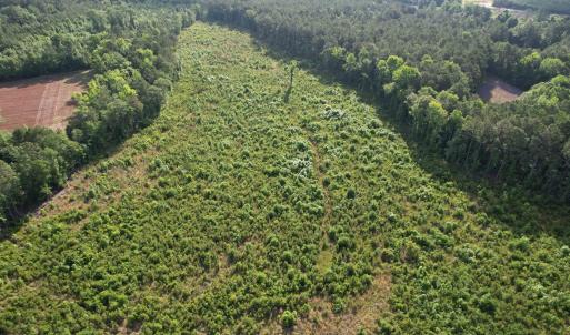 Photo #14 of  81.7 acres