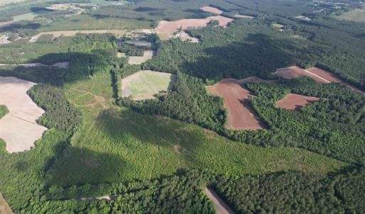 Photo #18 of  81.7 acres