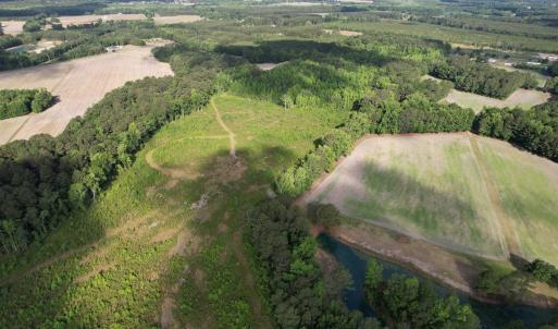 Photo #13 of  81.7 acres