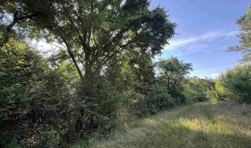 Photo #5 of  81.7 acres