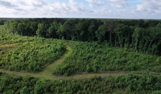 Photo #23 of  81.7 acres