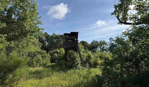 Photo #1 of  81.7 acres