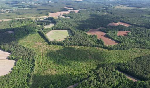 Photo #20 of  81.7 acres