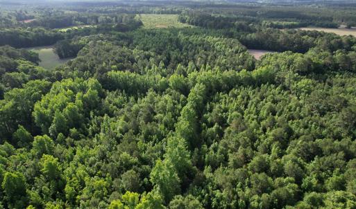 Photo #11 of  81.7 acres